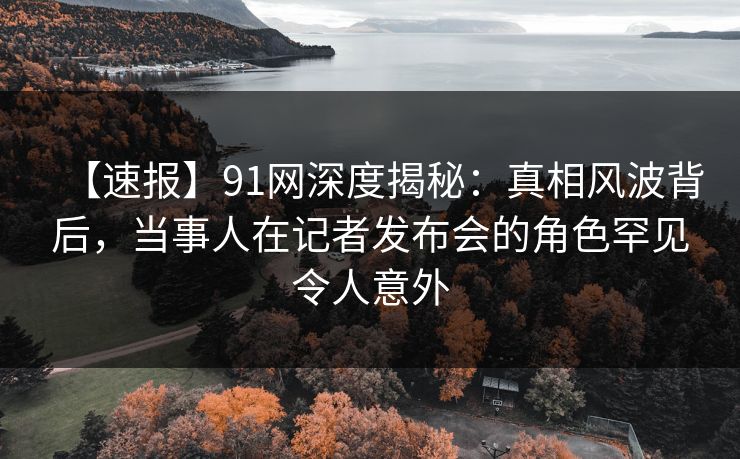 【速报】91网深度揭秘：真相风波背后，当事人在记者发布会的角色罕见令人意外