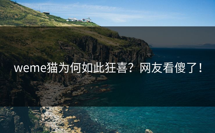 weme猫为何如此狂喜？网友看傻了！