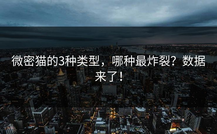微密猫的3种类型，哪种最炸裂？数据来了！
