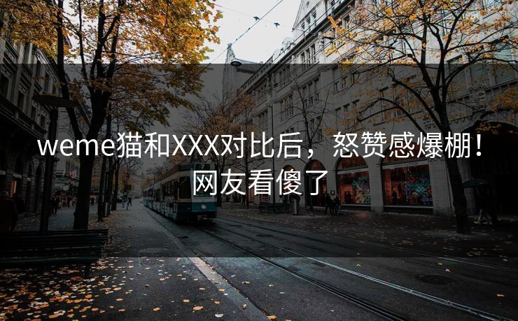 weme猫和XXX对比后，怒赞感爆棚！网友看傻了