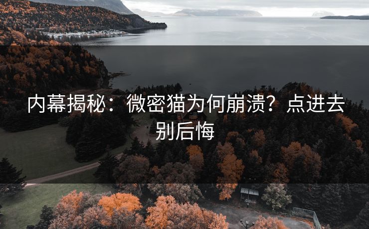 内幕揭秘：微密猫为何崩溃？点进去别后悔