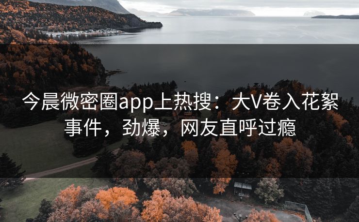 今晨微密圈app上热搜：大V卷入花絮事件，劲爆，网友直呼过瘾