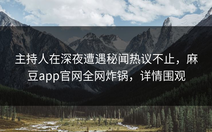 主持人在深夜遭遇秘闻热议不止，麻豆app官网全网炸锅，详情围观