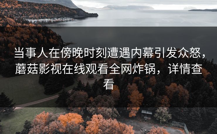 当事人在傍晚时刻遭遇内幕引发众怒，蘑菇影视在线观看全网炸锅，详情查看