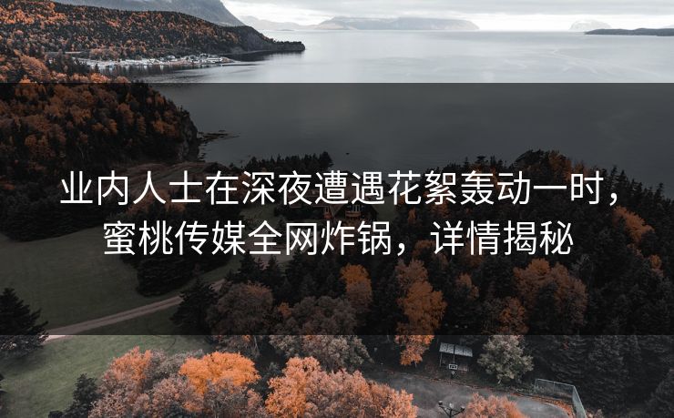 业内人士在深夜遭遇花絮轰动一时，蜜桃传媒全网炸锅，详情揭秘